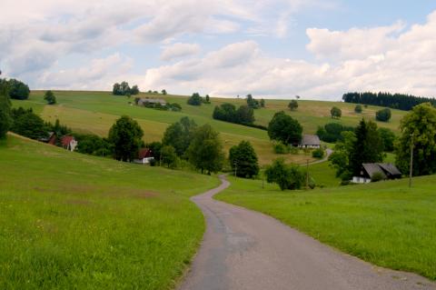 Žamberk